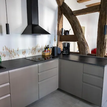 Historische Im Erdgeschoss Apartment Lich